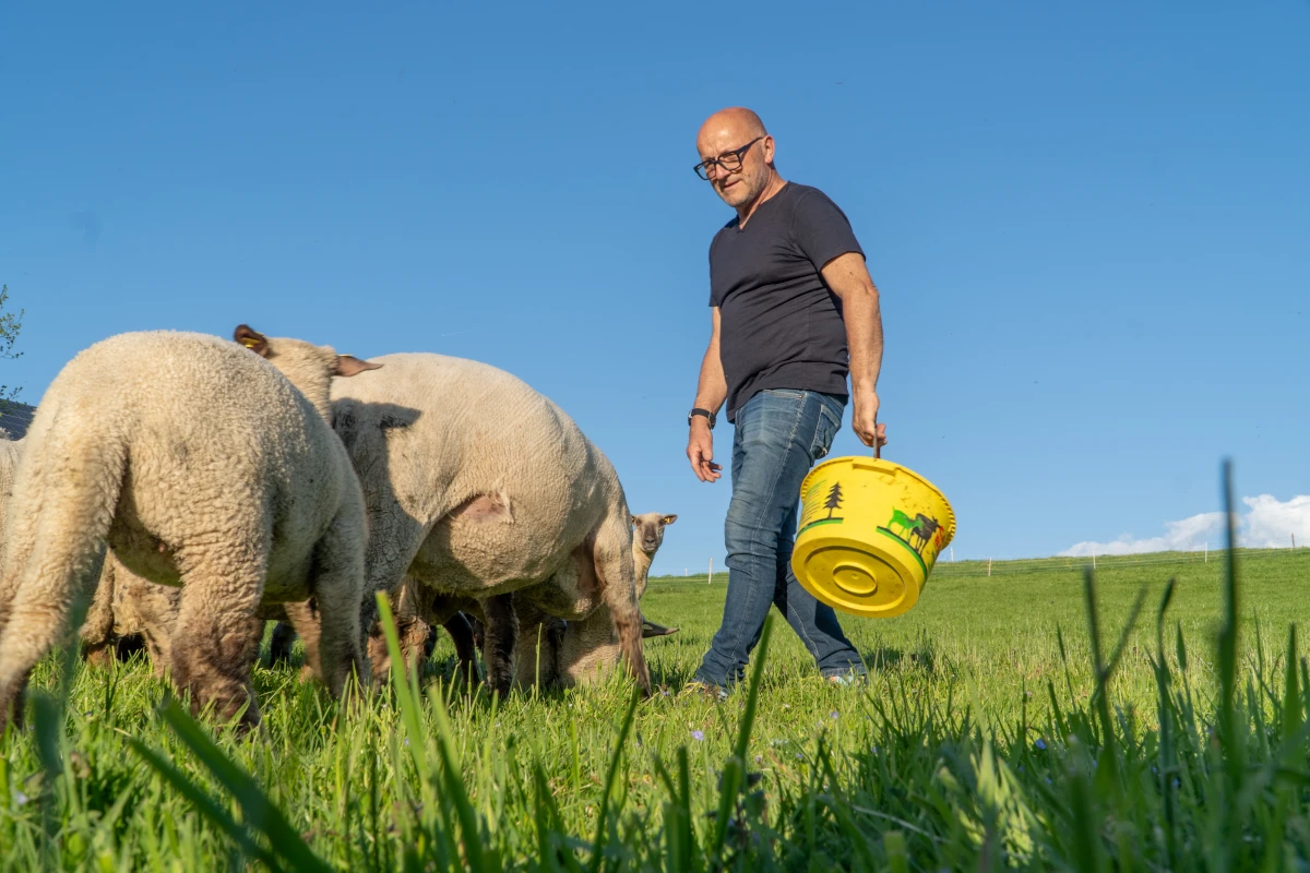 Niklaus mit Futterkessel